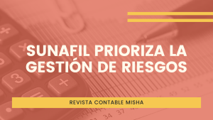 sunafil gestion de riesgos