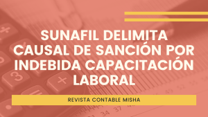 sunfail capacitacion indebida