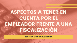 aspectos tener en cuenta fiscalizacion