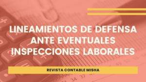 lineamientos defensa inspecciones laborales