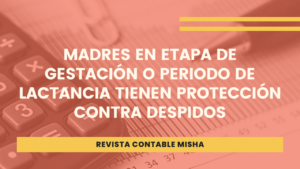 madres etapa gestion