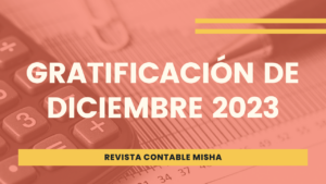 gratificiacion diciembre 2023